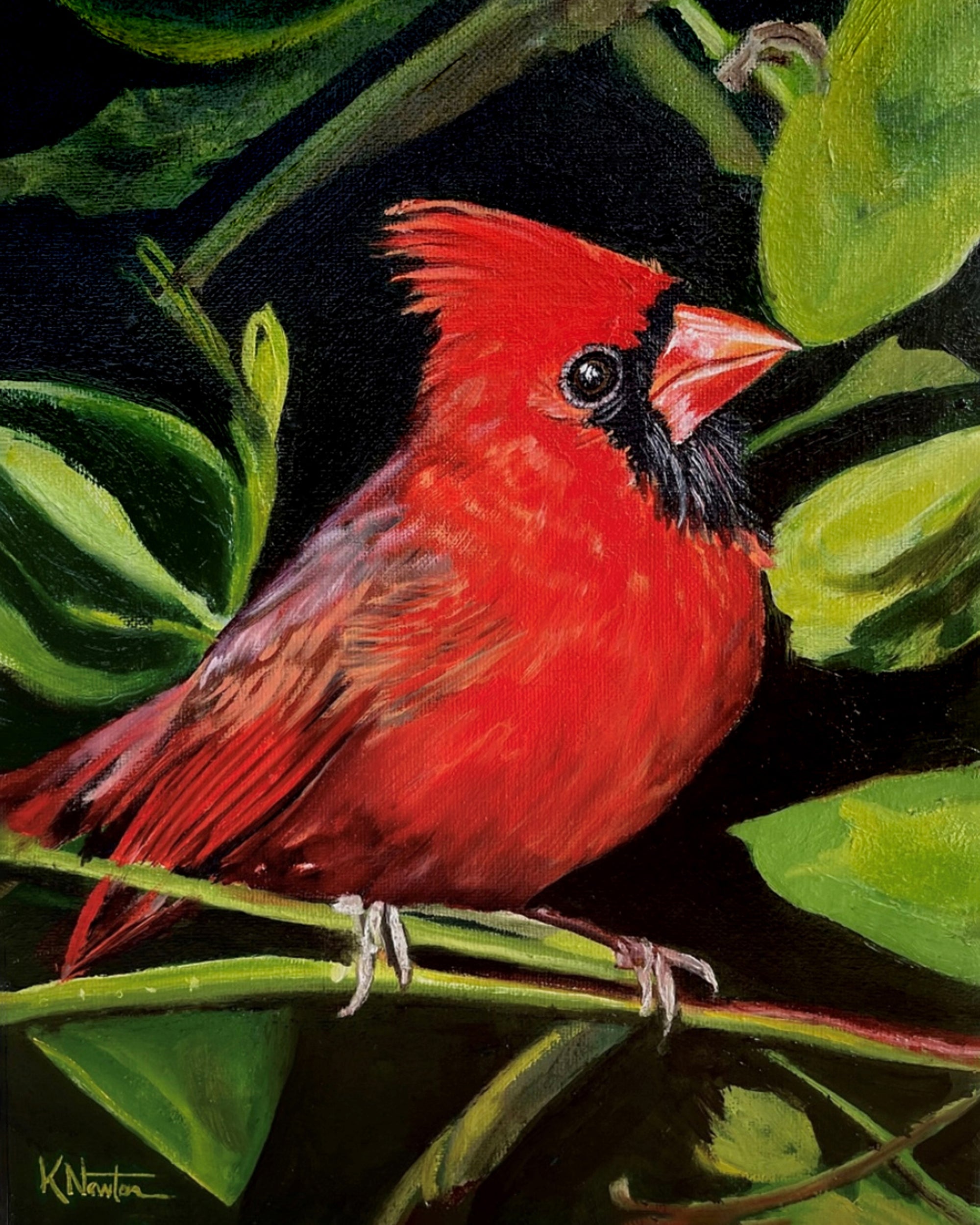 Messenger in Red