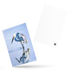 Tranquil Mirror Postcard